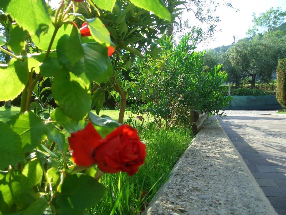 Hotel Villa Verde 토르볼레 외부 사진